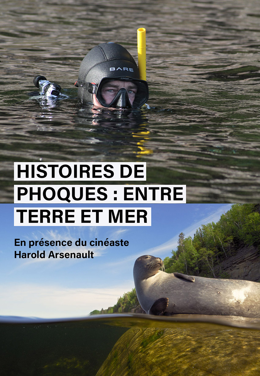 HISTOIRES DE PHOQUES : ENTRE TERRE ET MER