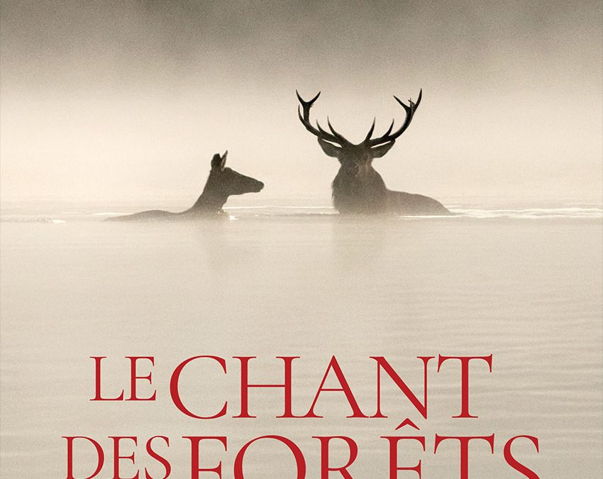 Le chant des forêts