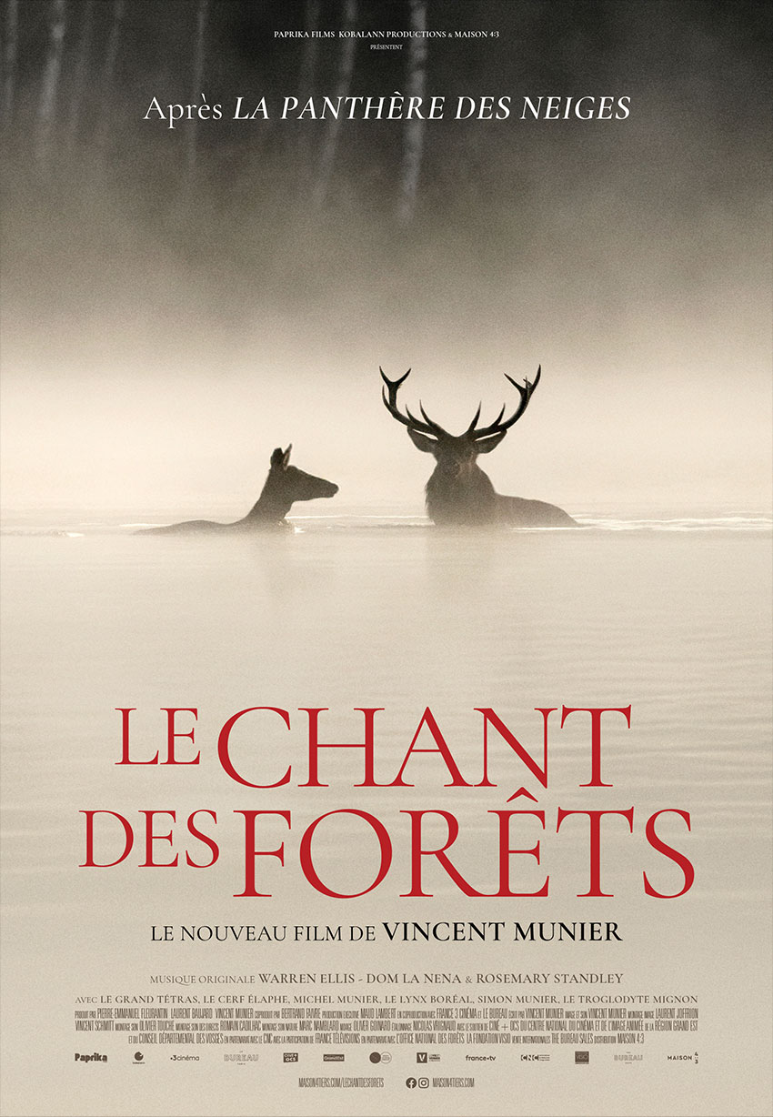 Le chant des forêts
